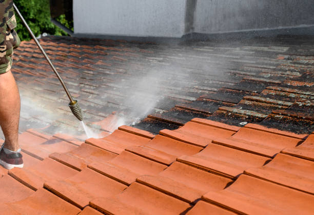 Best Sidewalk Pressure Washing  in Lomita, CA