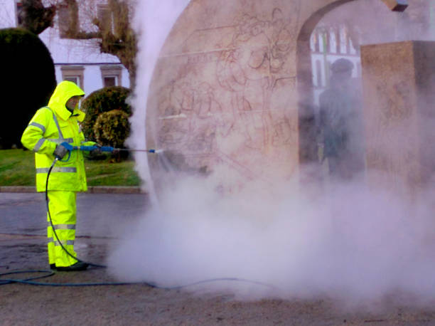 Best Roof Pressure Washing  in Lomita, CA